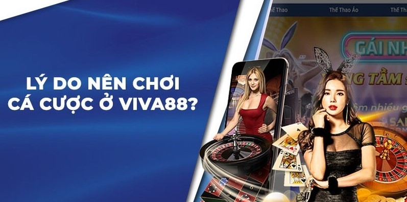 Hình minh họa — Vipwin